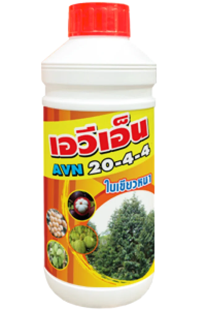 เอวี เอ็น